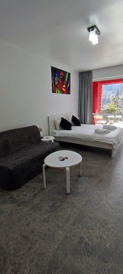 Belle View Sinaia-Free Parking Apartment Exterior photo