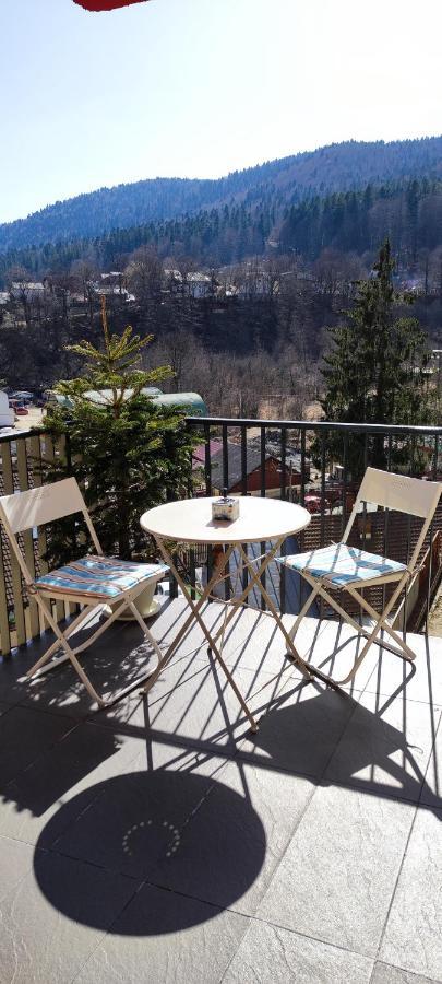 Belle View Sinaia-Free Parking Apartment Exterior photo