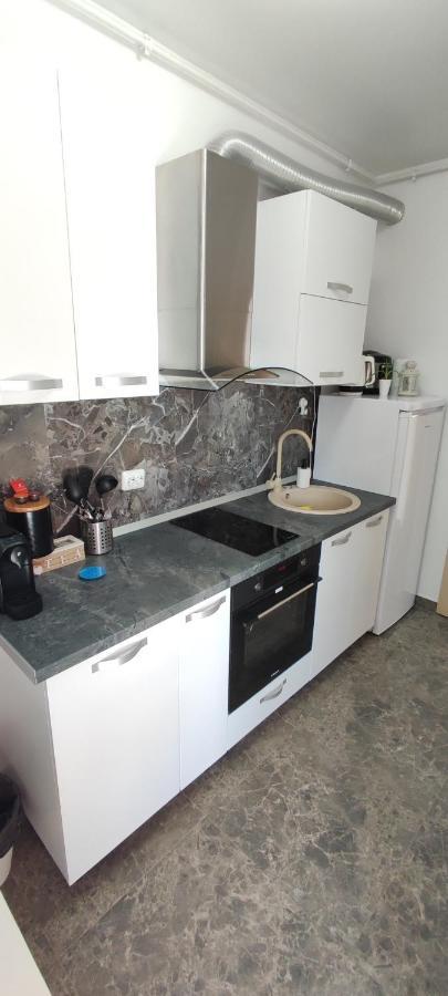 Belle View Sinaia-Free Parking Apartment Exterior photo