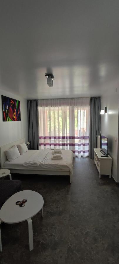 Belle View Sinaia-Free Parking Apartment Exterior photo