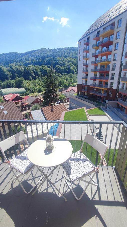 Belle View Sinaia-Free Parking Apartment Exterior photo